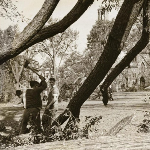 A black and white photo of students chopping down fallen branches and trees in the field of Brown University