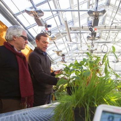 Two people examine plants inside of a greenhouse.
